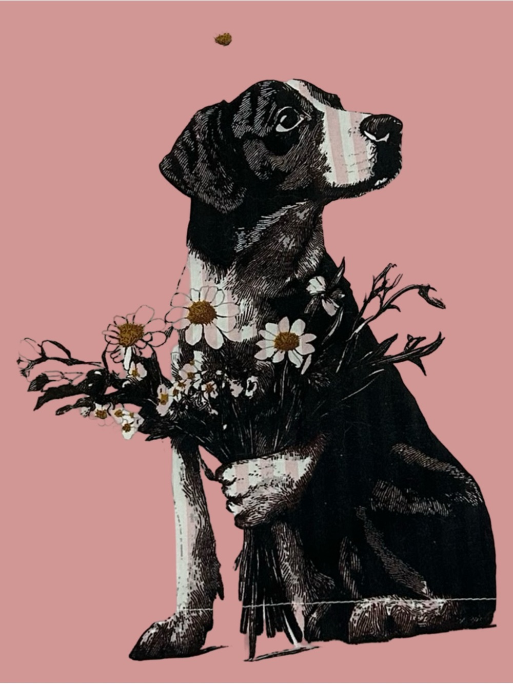 New w/ Tags– in soft, lightweight cotton pink & white boxers w/ a dog w/ Flowers - Picture 5 of 13